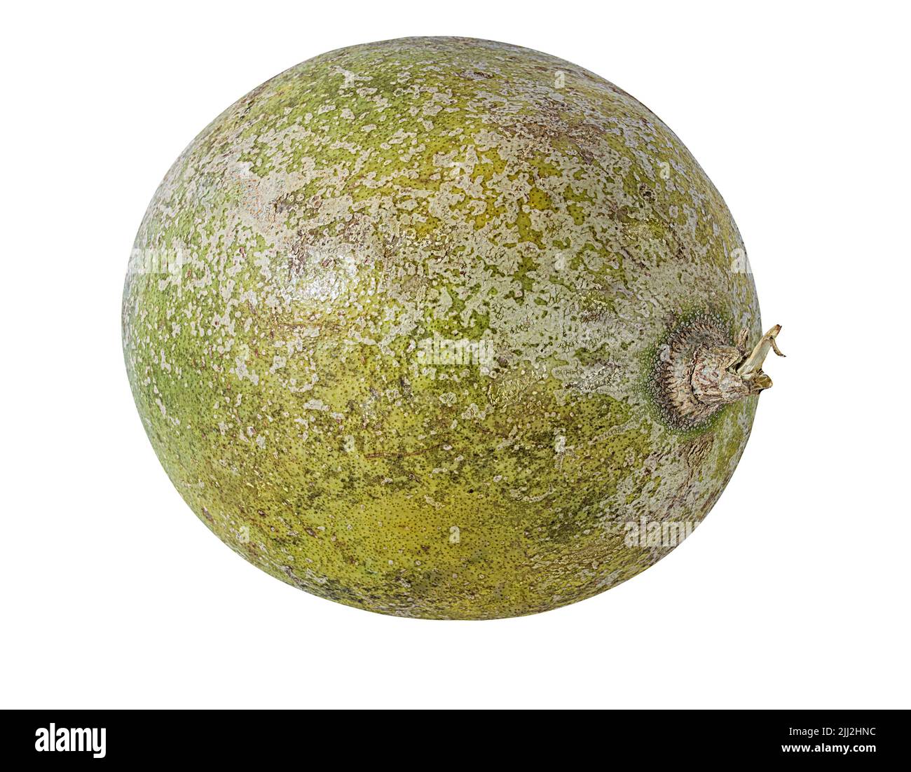 Wood apple bel fruit Cut Out Stock Images & Pictures Alamy
