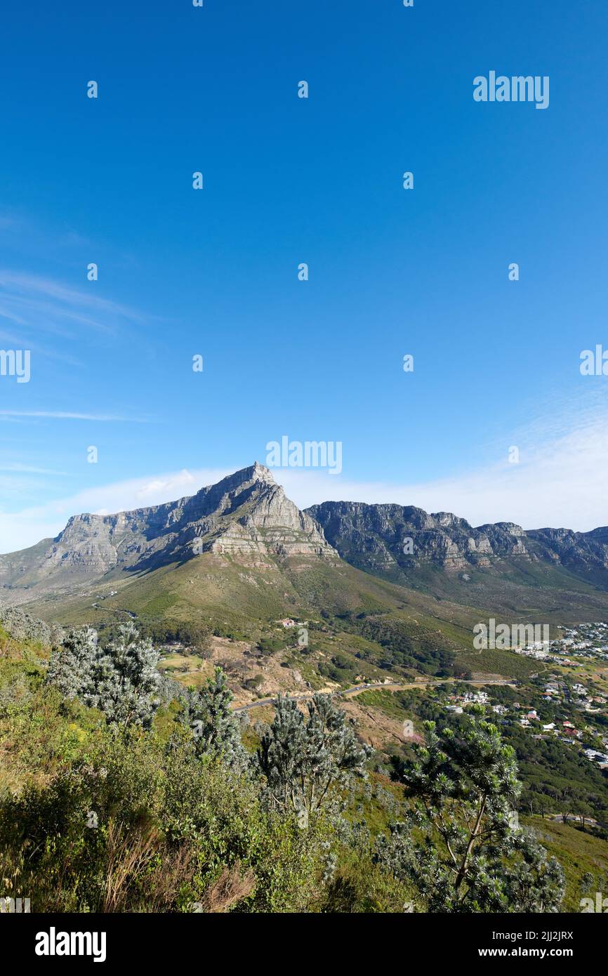 Landscape view of mountains background from a lush, green botanical garden and national park. Table Mountain in Cape Town, South Africa with blue sky Stock Photo