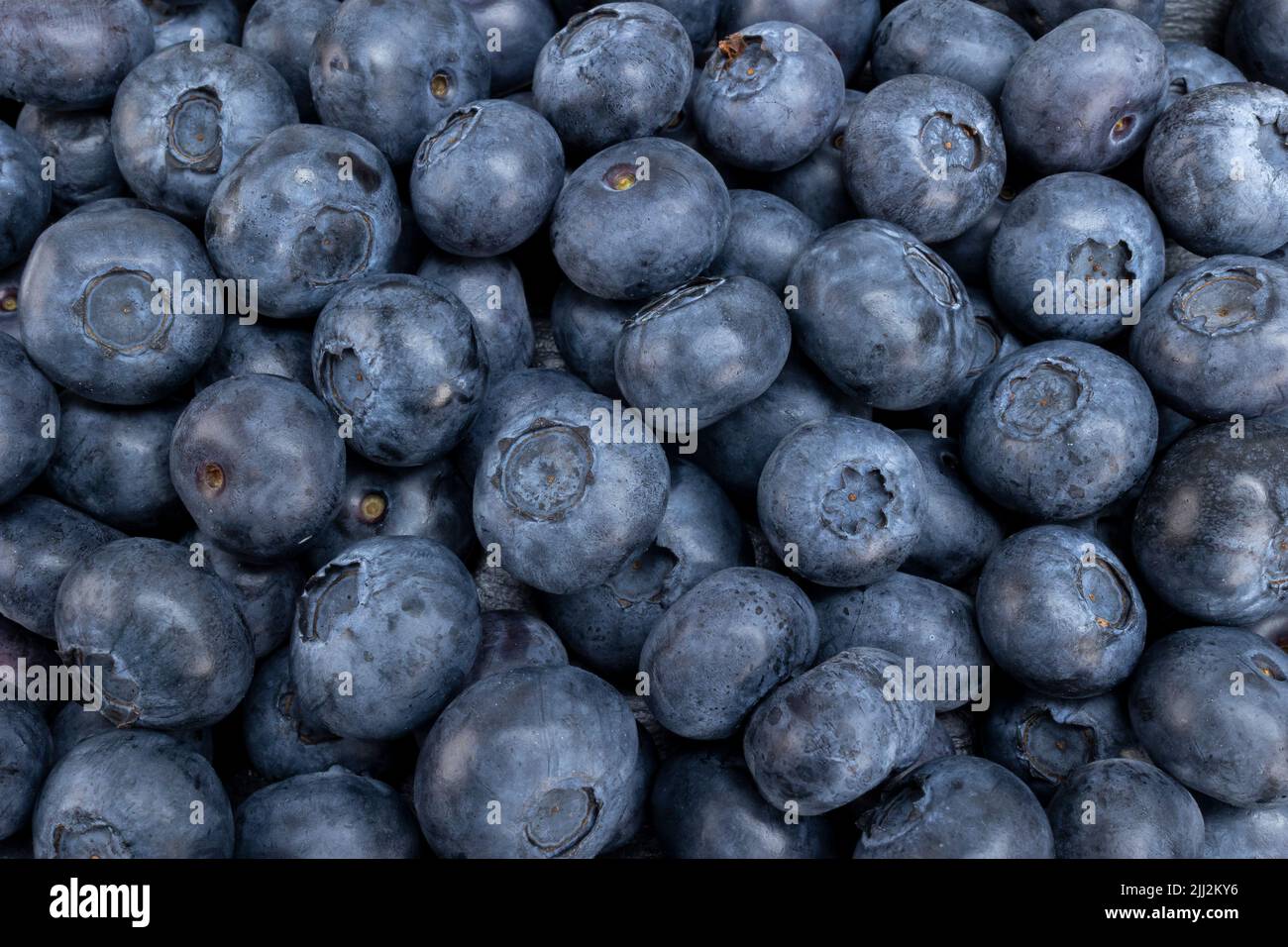 Fresh blueberry summer juicy fruits for a healthy diet. Organic blueberries for a healthy food and life concept. Stock Photo