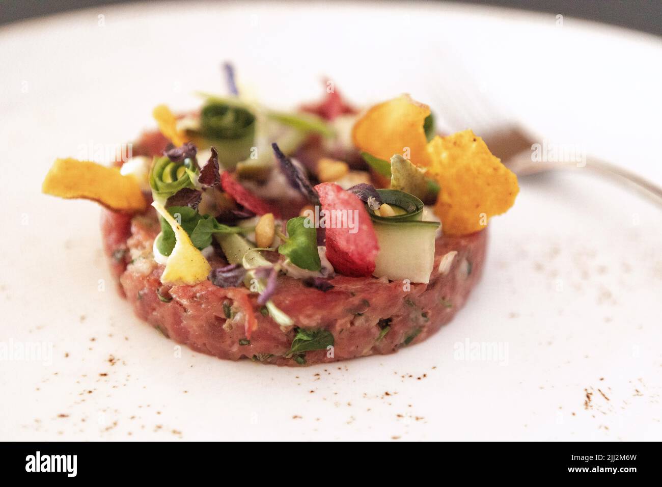 tuna tartare, with sweet/sour vegetables, lime mayonnaise, oriental
