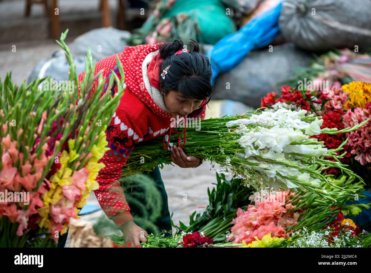 Quechua woman vendor preparing flowers for sale, Pisac Sunday Market, Cusco, Peru Stock Photo