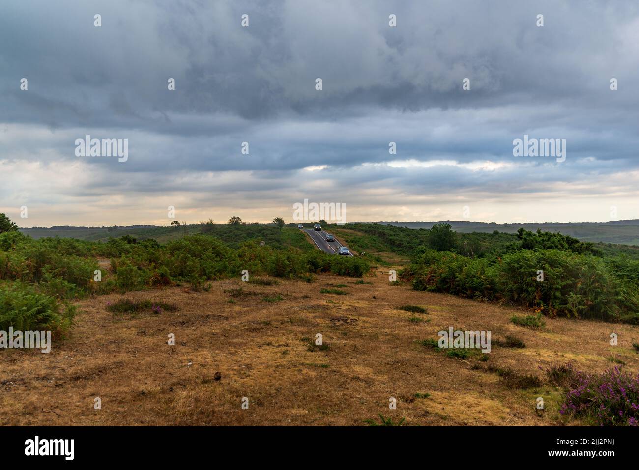 Godshill, New Forest, Hampshire, UK, 22nd July 2022, Weather: Rain at last following weeks of dry weather and missing out on recent showers. Tinder dry heathland gets a soaking in a heavy downpour late afternoon. Paul Biggins/Alamy Live News Stock Photo