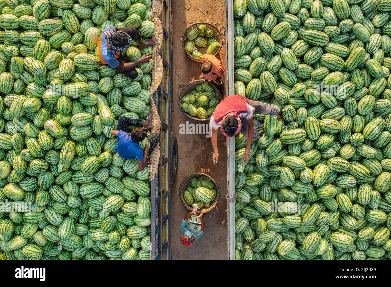 Watermelon wholesale market in Bangladesh Stock Photo