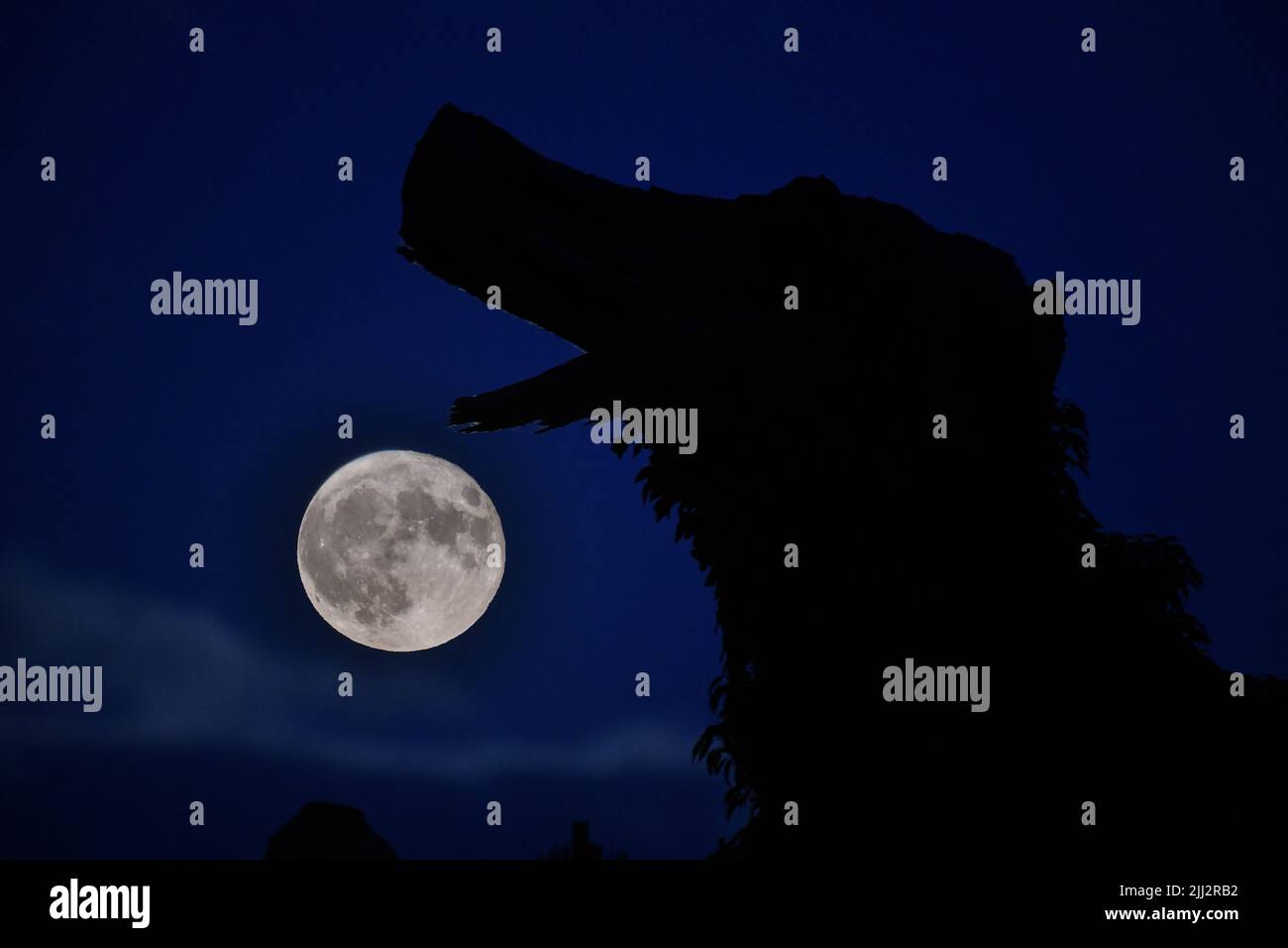 Ironbridge, Shropshire, UK. June 13th 2022 Jurassic Moon. Last nights full moon casts Jurassic like moonlight over the Ironbridge Gorge with the moon silhouetting the remains of an old tree stump appearing like a dinosaur. Stock Photo