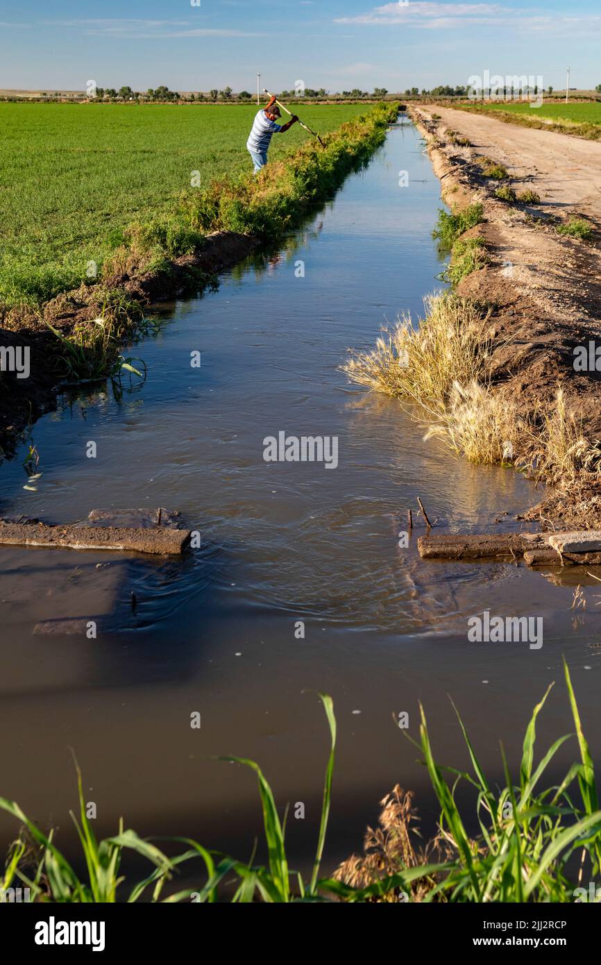 Holly, Colorado - A farmer uses a shovel to direct water from an irigation canal to his field in southeast Colorado. Stock Photo