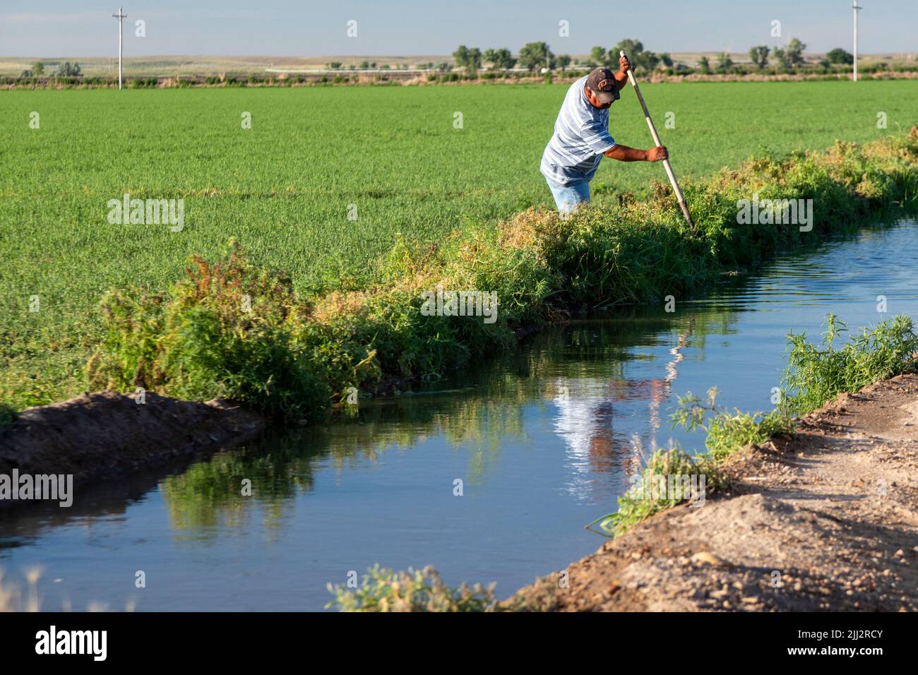 Holly, Colorado - A farmer uses a shovel to direct water from an irigation canal to his field in southeast Colorado. Stock Photo
