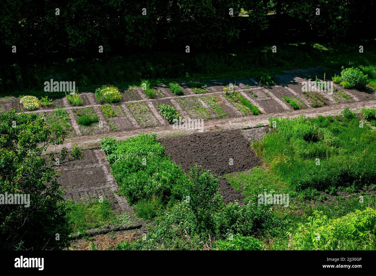 botanical garden bed with bushes and flowers for experimental cultivation and plant breeding growth of new plants, view on spring green nature with pl Stock Photo