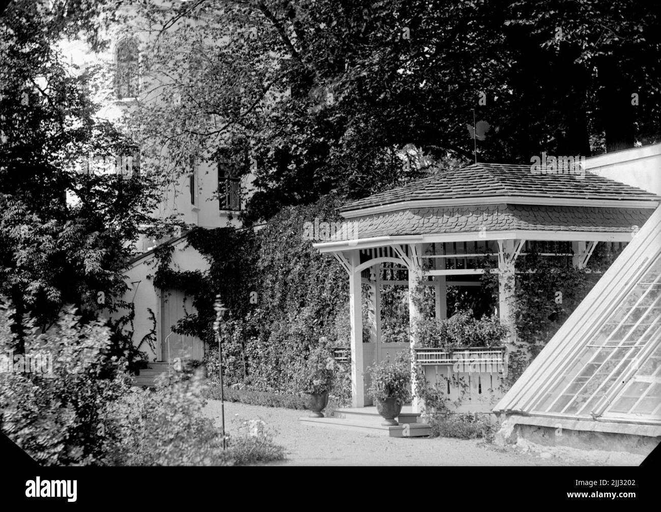 Residential plants Black and White Stock Photos & Images - Alamy