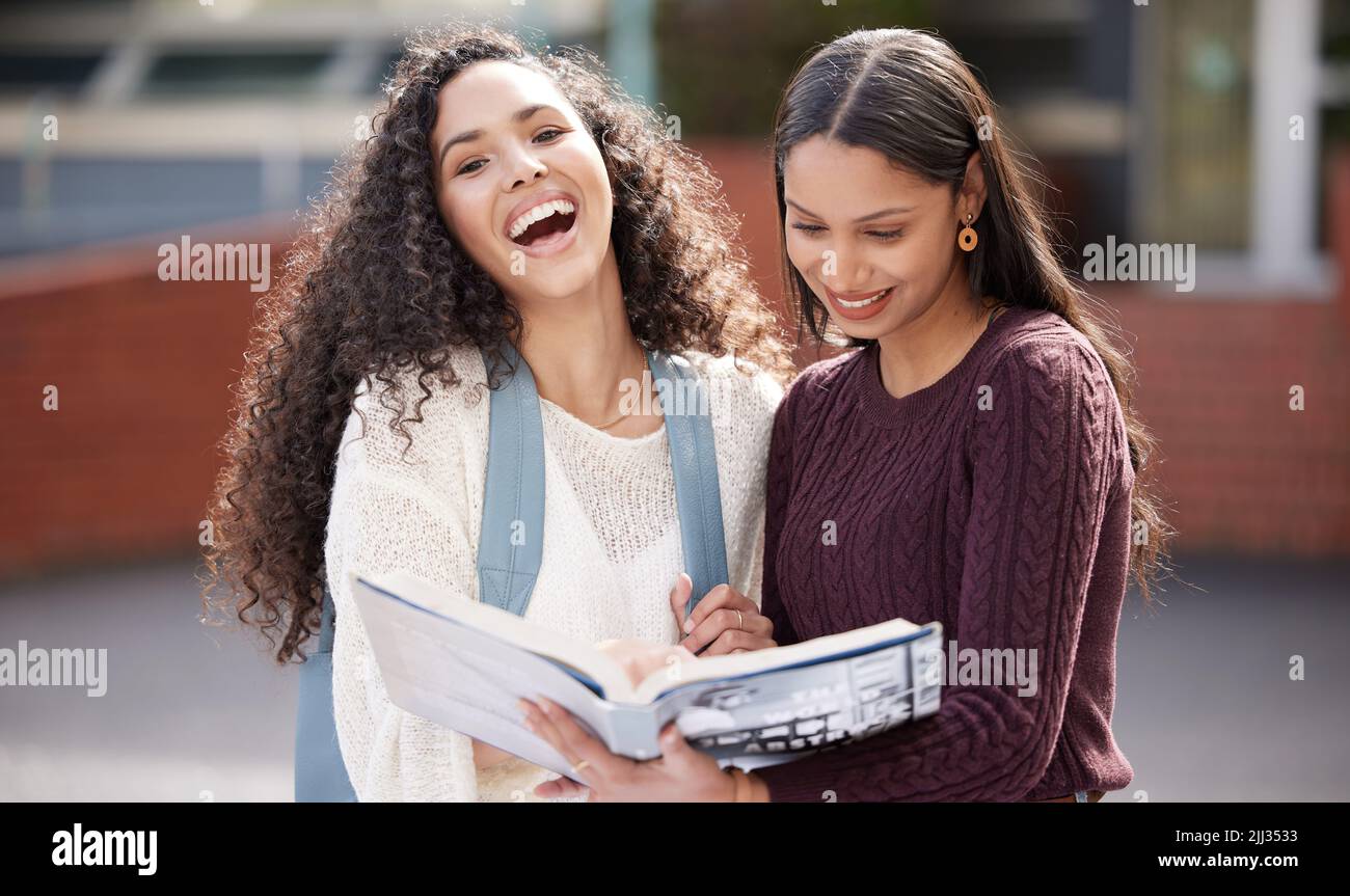 Making our dreams a reality. two young women studying together at college. Stock Photo