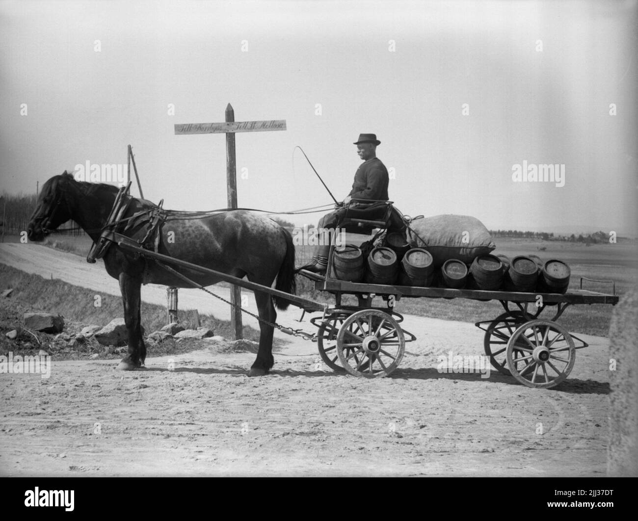 Drinking runner with horse. Fröberg Stock Photo Alamy