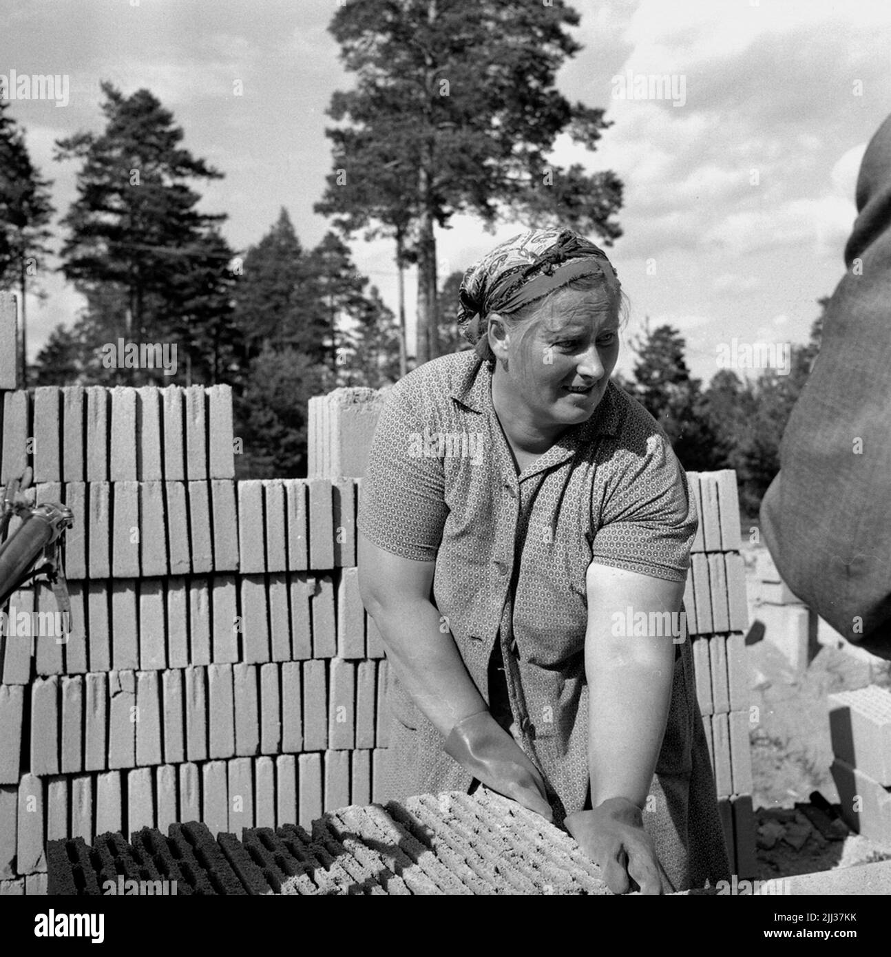 Female mason in Eker.august 1956 Stock Photo Alamy