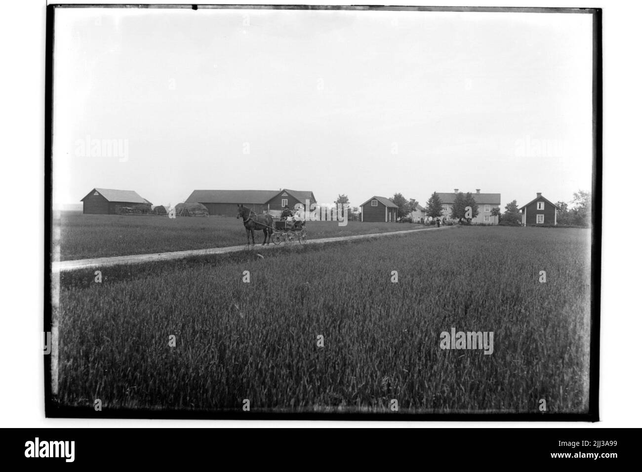 Farm, six buildings. Horse shooting. 5 people.Oskar Andersson Stock Photo Alamy