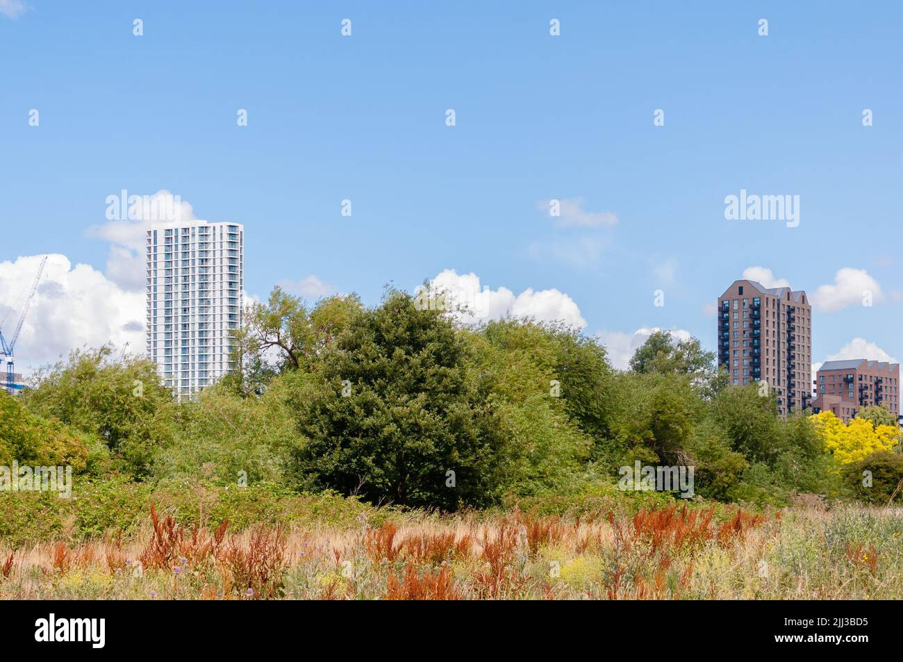 Apartment buildings on the edge of Walthamstow Wetlands, London Stock Photo  - Alamy
