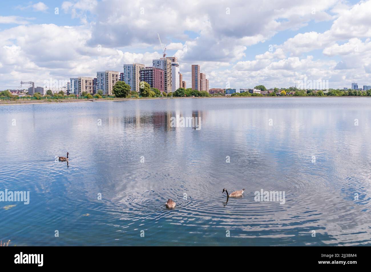 New apartment buildings under construction on the edge of Walthamstow