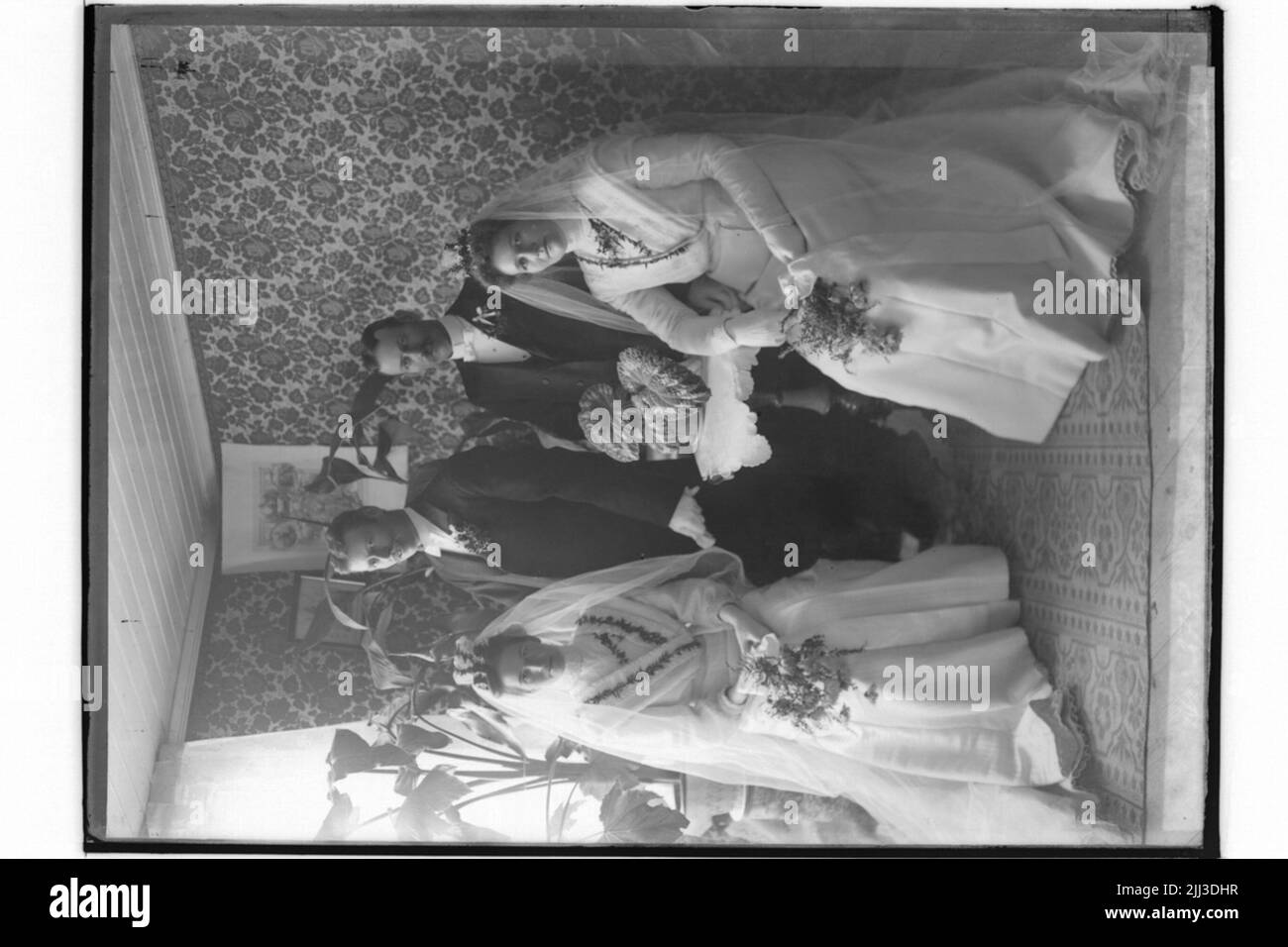 White double coats hi res stock photography and images Alamy