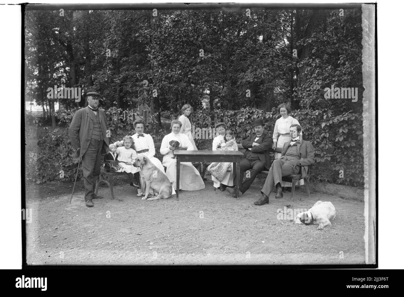3 dogs Black and White Stock Photos & Images - Alamy
