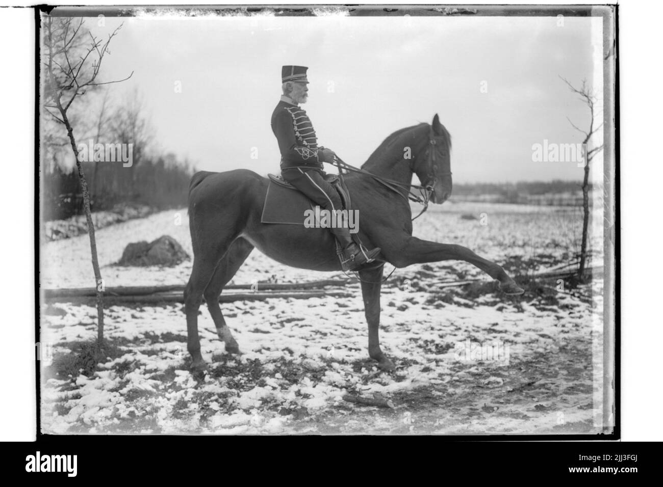 Rider for horse rider r.m. Blackling Stock Photo