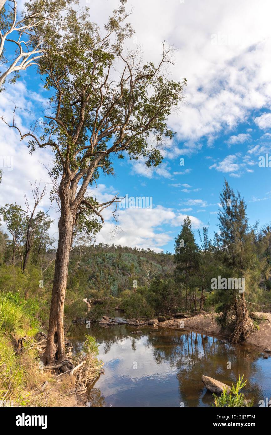 Australian bush landscape hires stock photography and images Alamy