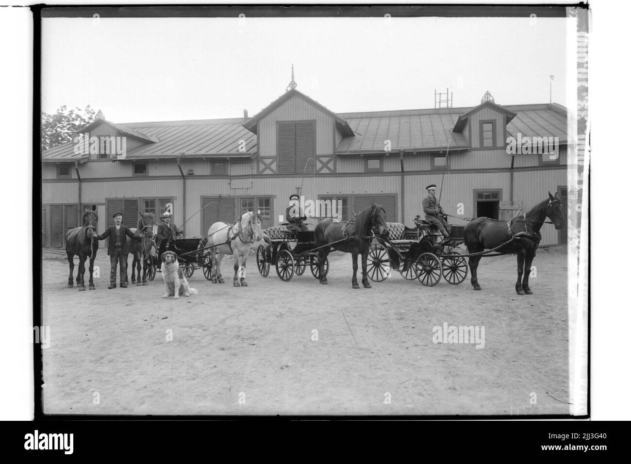 Long stable building, two horse goose shoes with cows, 1 landå and a man with two horses. A newfoundland dog.g. Sandholm Stock Photo
