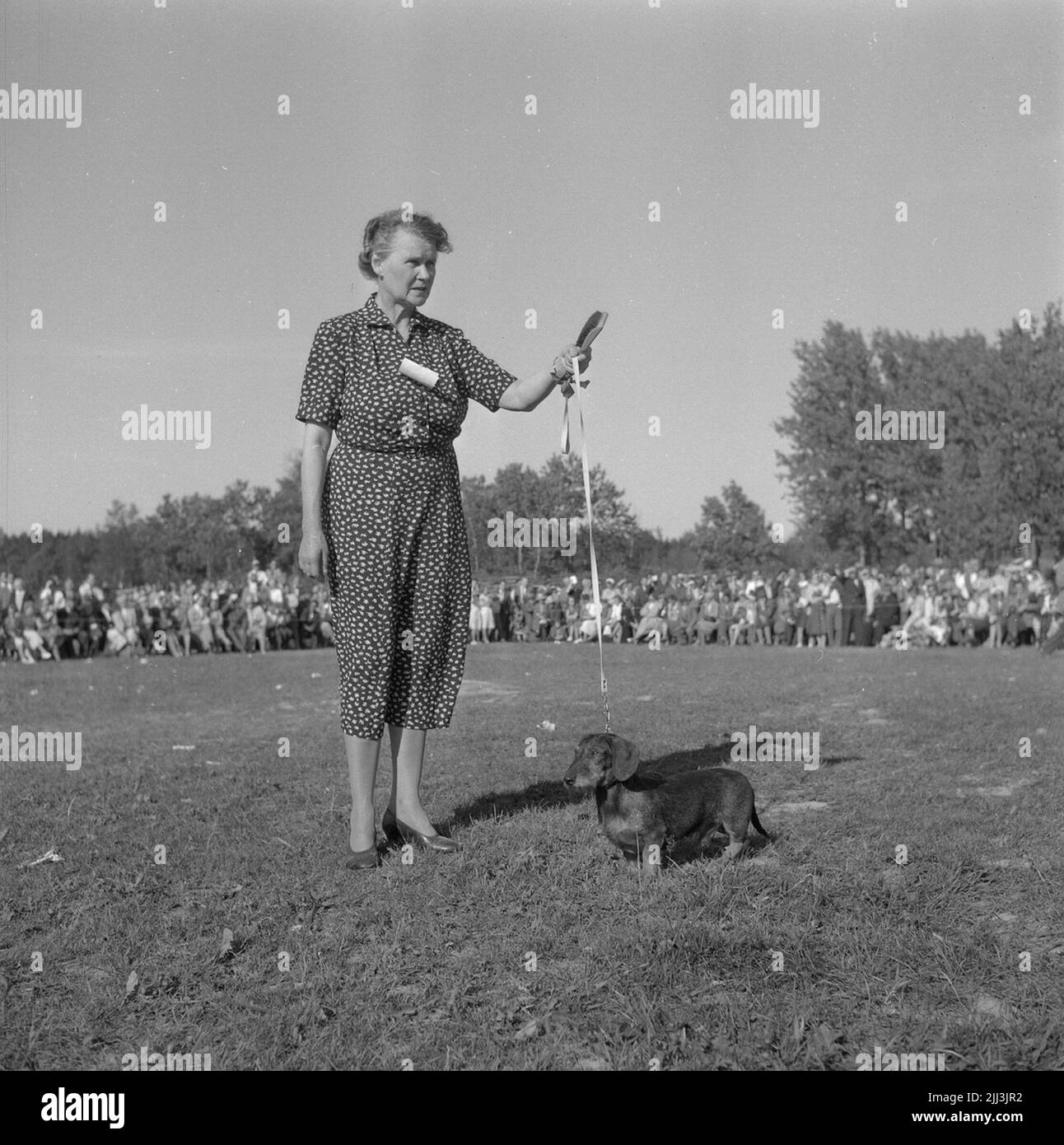 July 1956 Black and White Stock Photos & Images Alamy