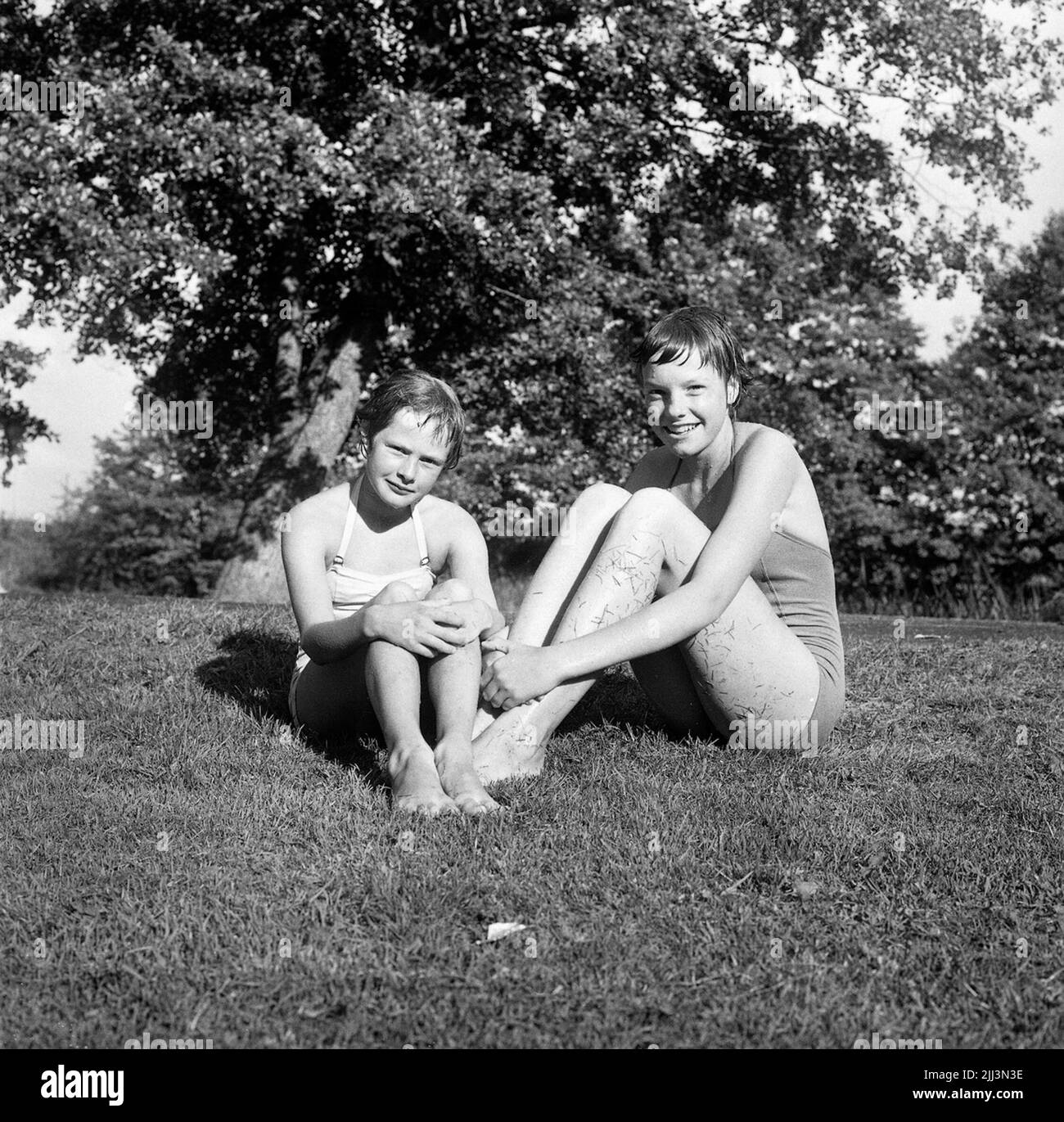 Plums in the wave, Hästhagen.30 July 1958. Stock Photo
