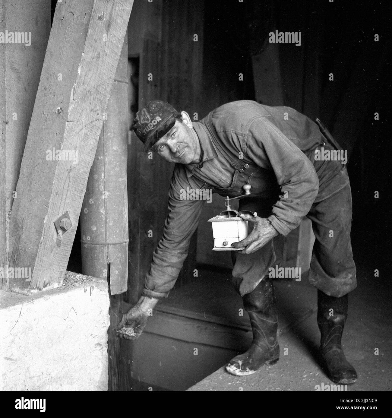 Five day Week In Agriculture 3 October 1958 Stock Photo Alamy Five day week in agriculture 3 october 1958 stock photo alamy