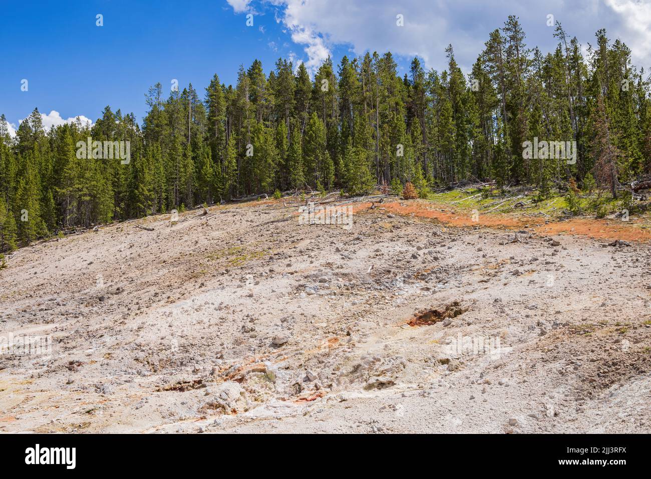 Sunny view of the landscape around Norris Geyser Basin in Yellowstone ...