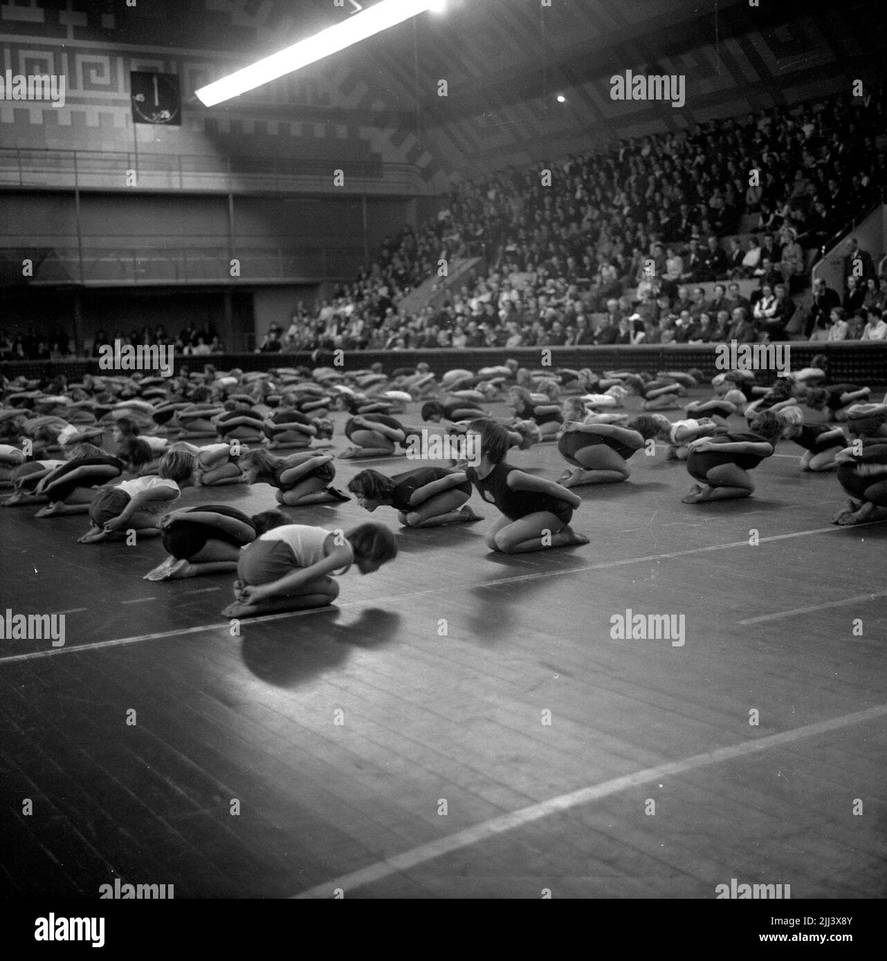 Gymnastics Day in the Sports House.1 December 1958 Stock Photo Alamy