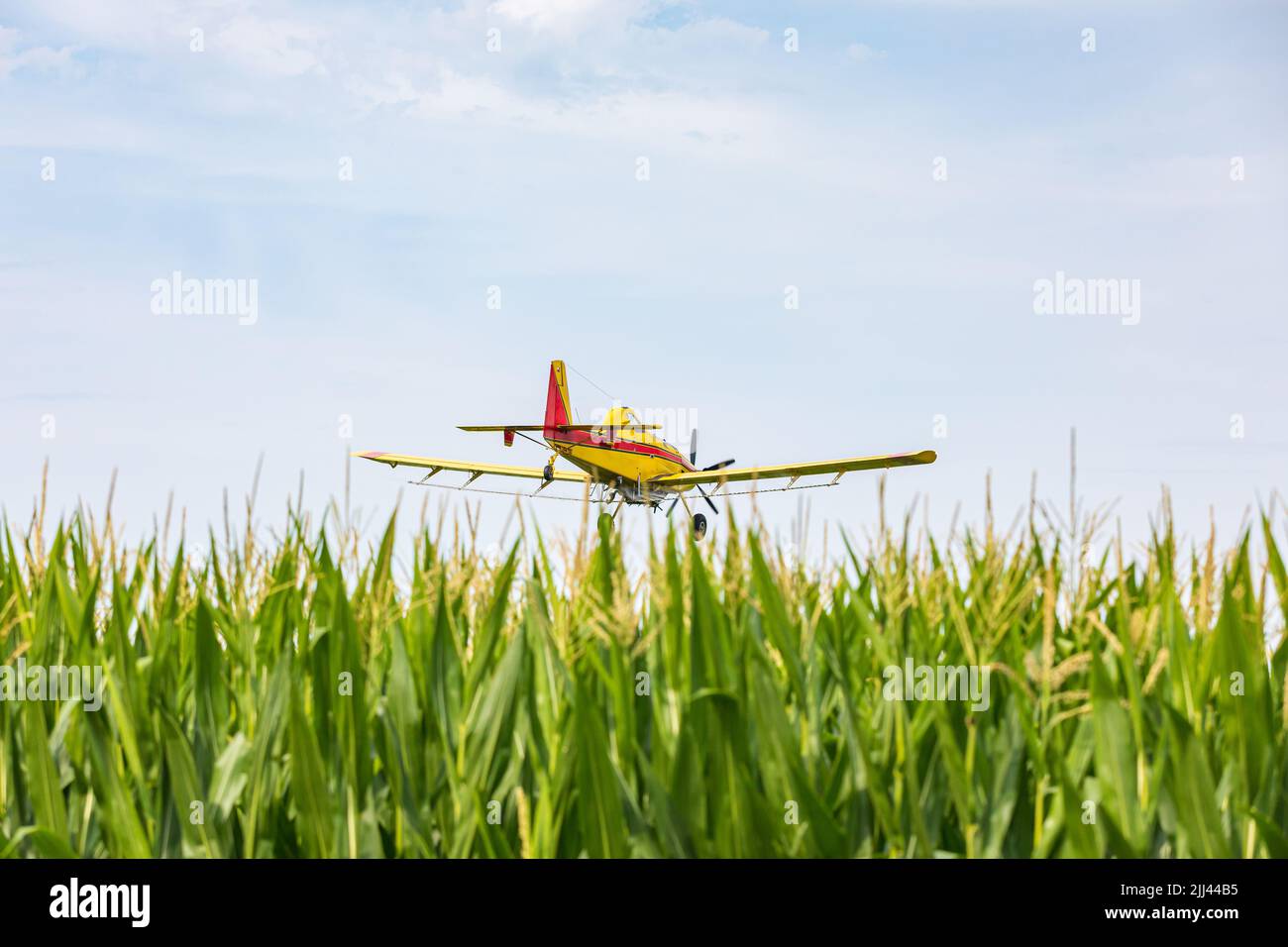 Crop duster airplane spraying chemicals on cornfield. Fungicide, pesticide and crop spraying concept. Stock Photo