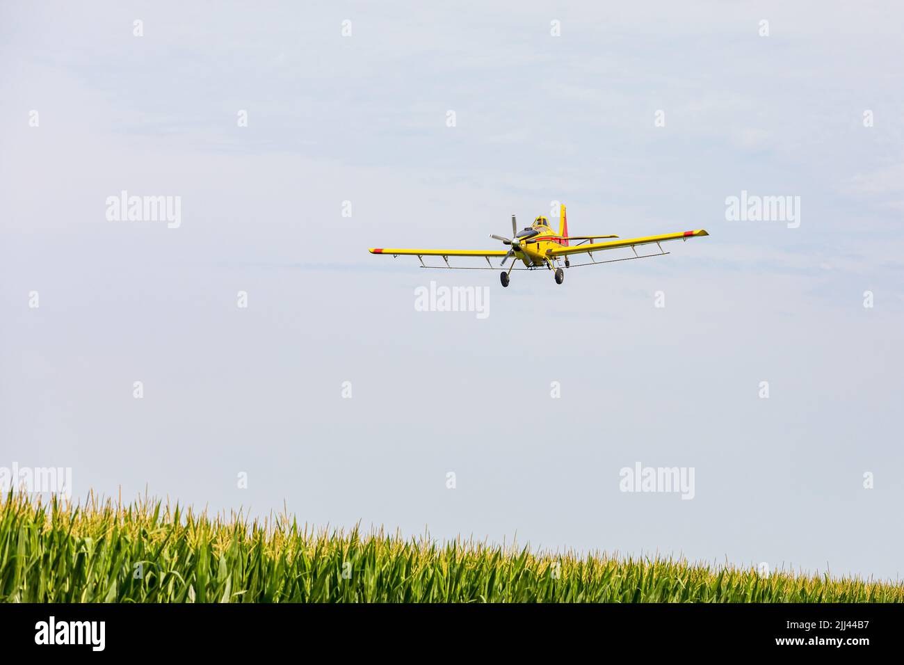 Crop duster airplane spraying chemicals on cornfield. Fungicide, pesticide and crop spraying concept. Stock Photo