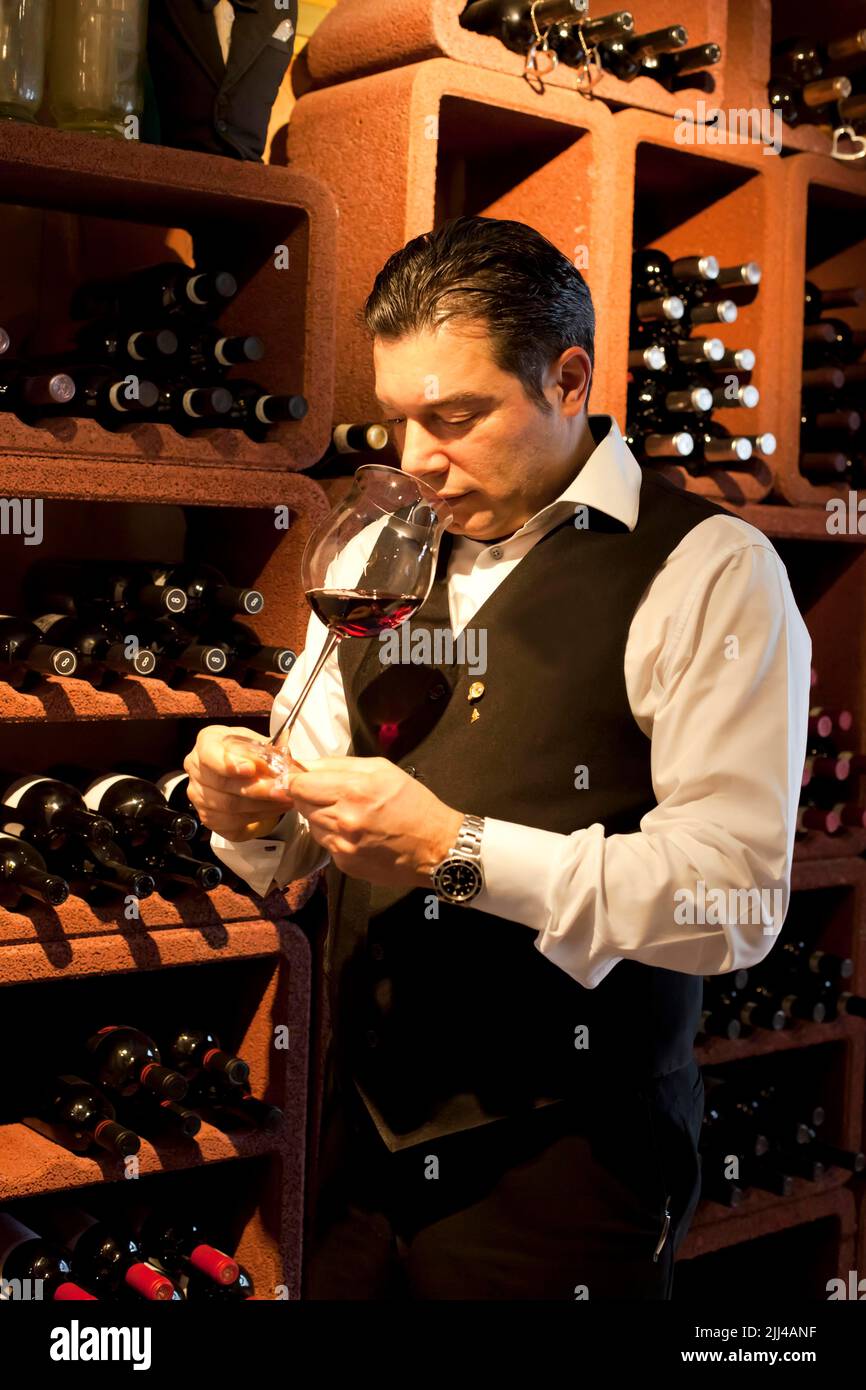 Sommelier, wine tasting, wine colour, Mittenwald, Bavaria, Germany Stock Photo