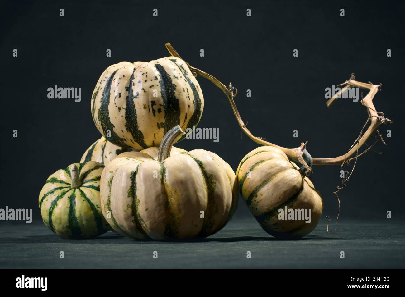 Five striped decorative pumpkins on a dark background Stock Photo