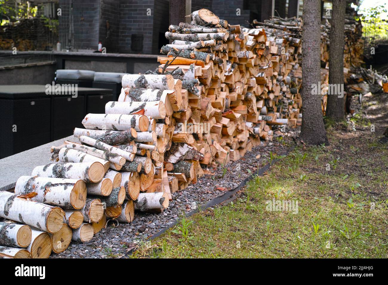 birch tree firewood stack for outdoor kitchen stove, daylight shot