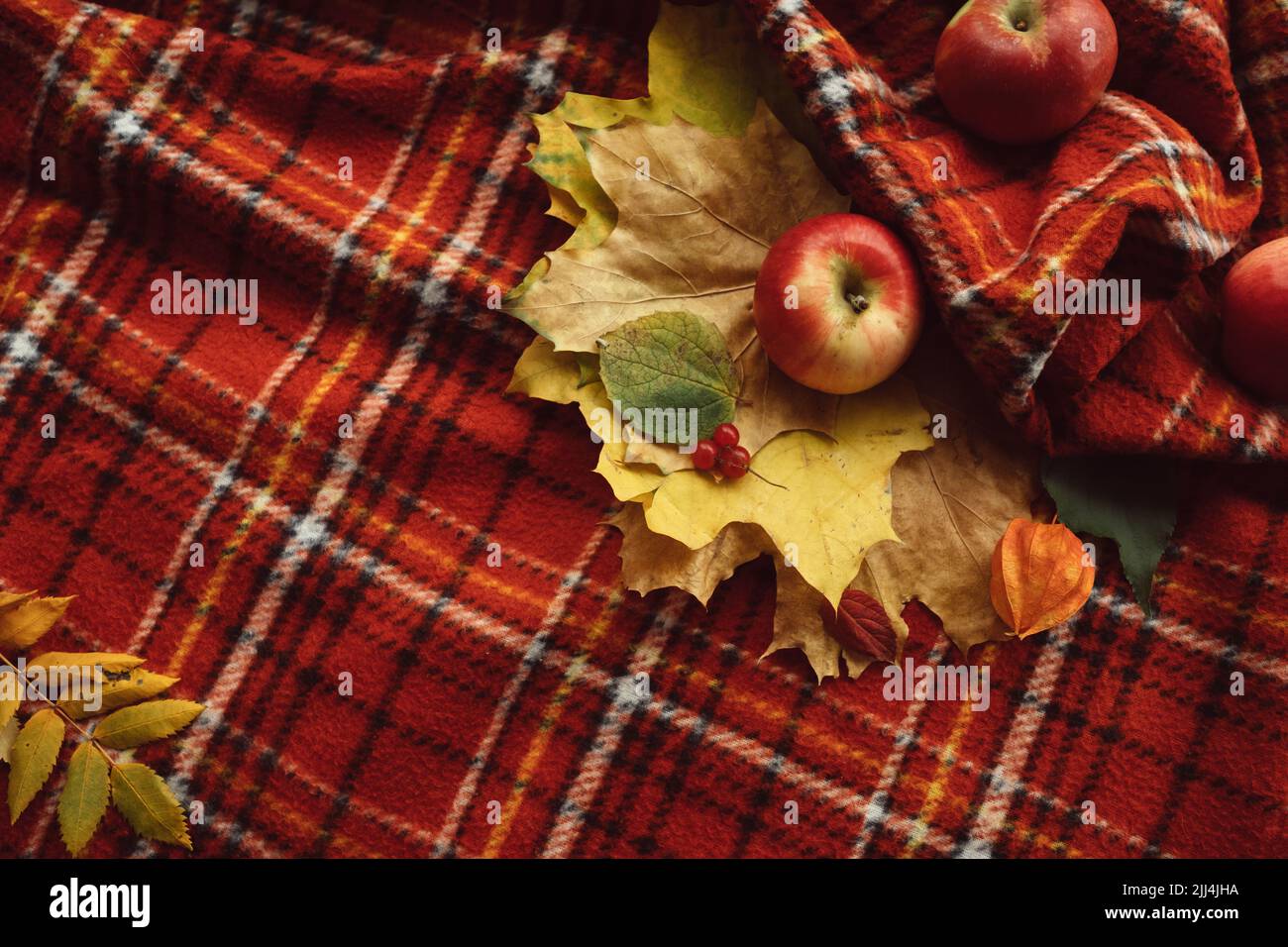 autumn leaves fall apples warm blanket concept Stock Photo