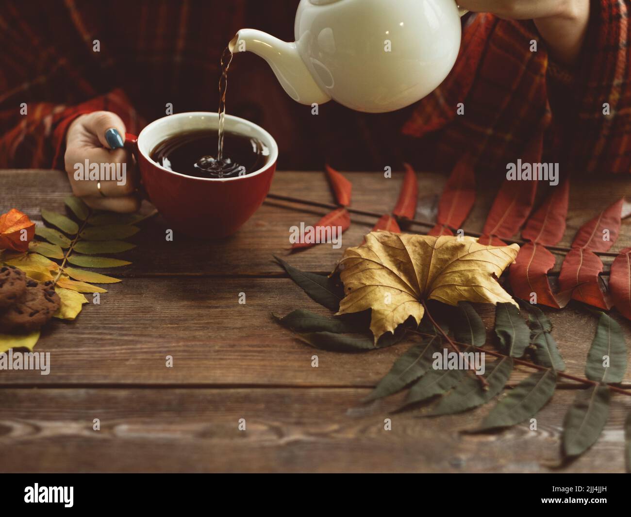 hot tea autumn warmth and coziness concept Stock Photo