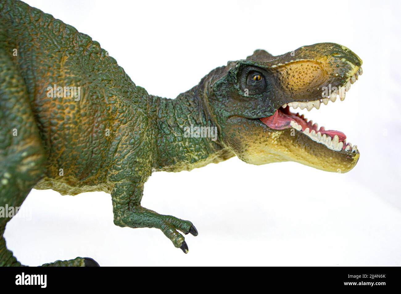 Tyrannosaurus dinosaurs toy isolated on white background with clipping