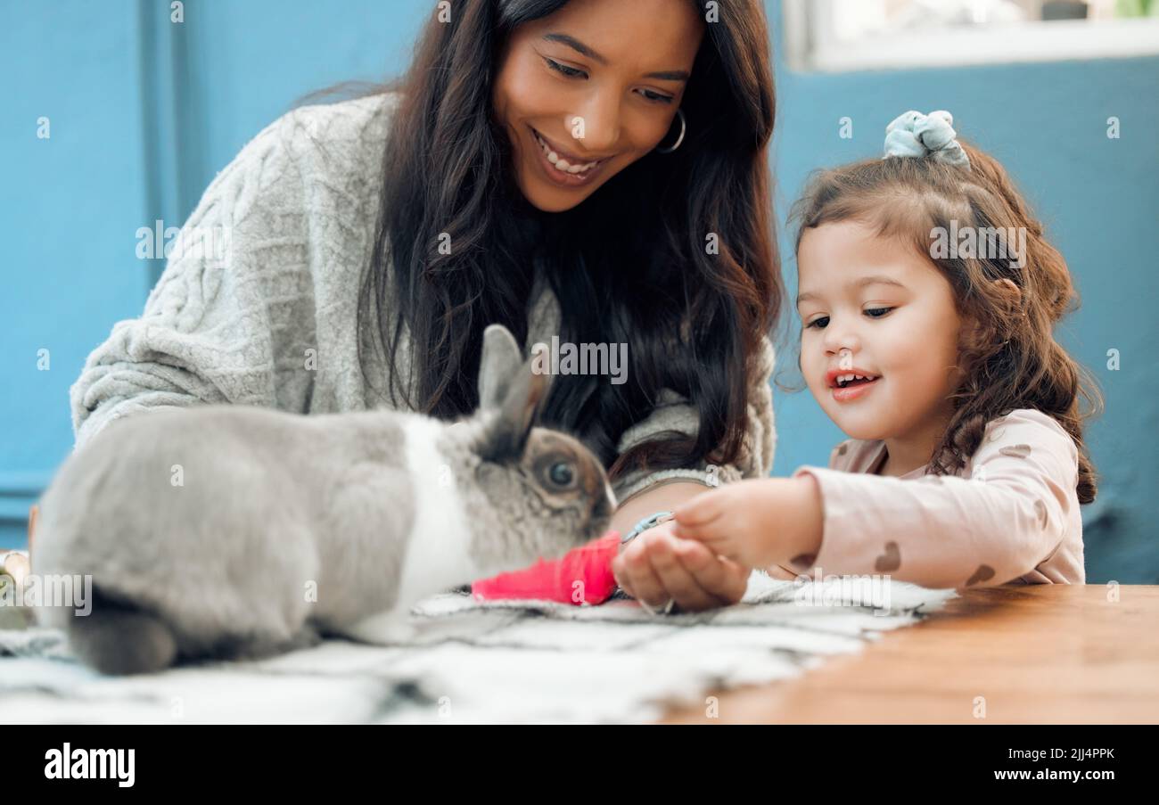 Mother rabbit feeding hi res stock photography and images Alamy