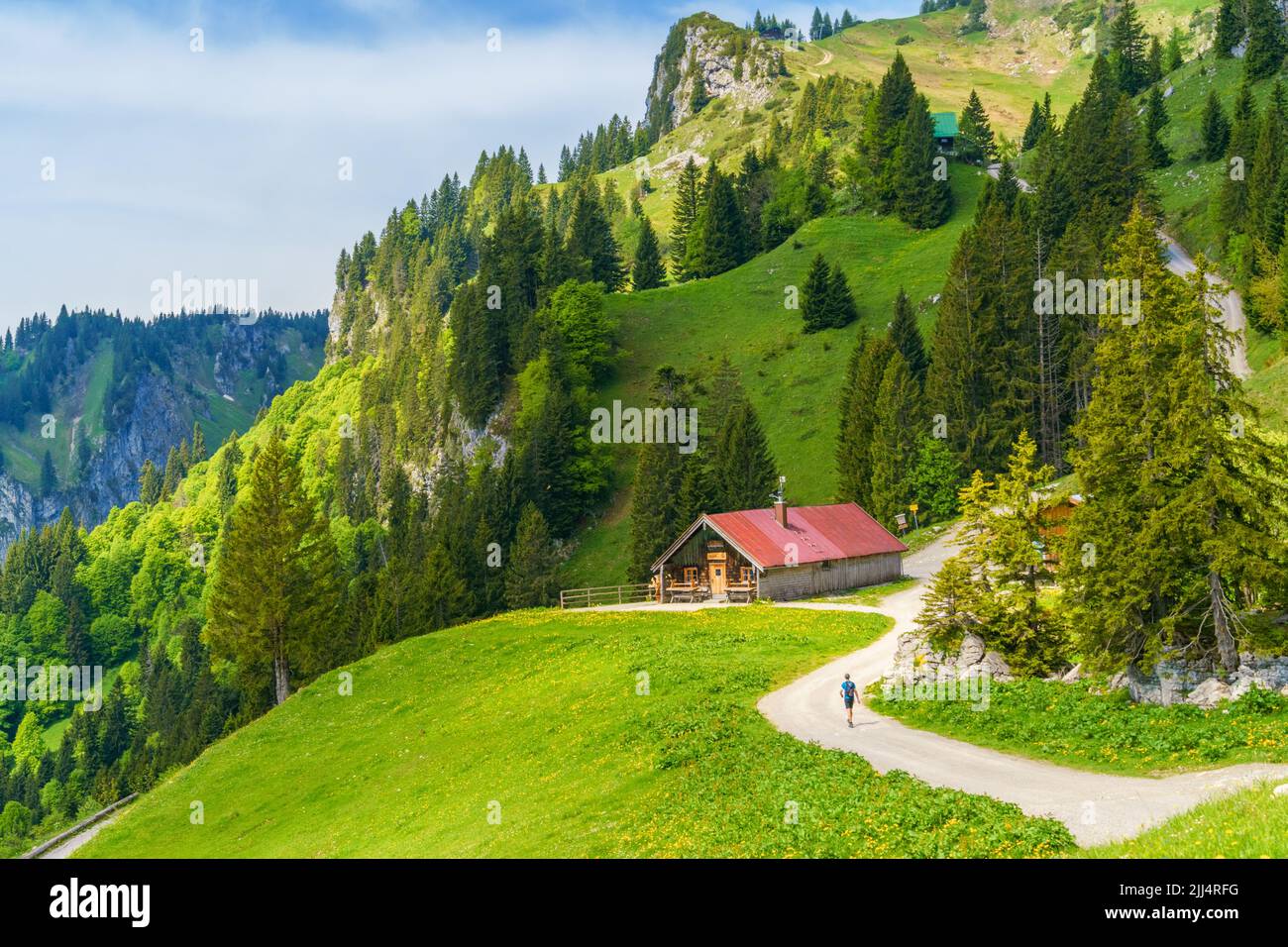 Idyllic landscape on the mountain Brauneck, with green meadows and an alpine hut Stock Photo