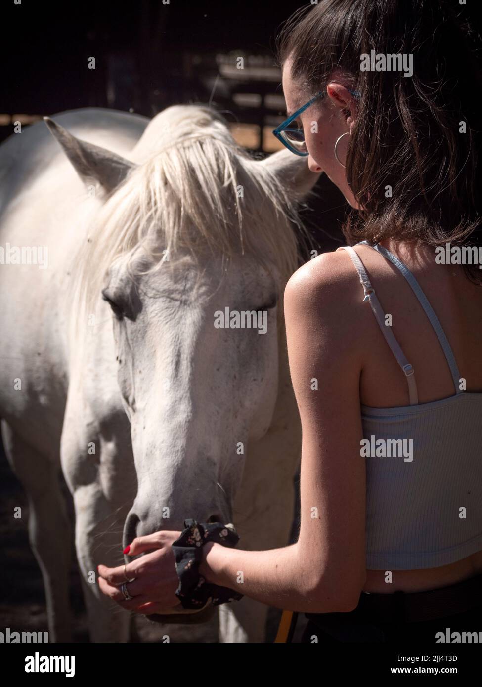 Vertical view of female teenager with glasses and pony tail stroking a white andalusian horse. Stock Photo