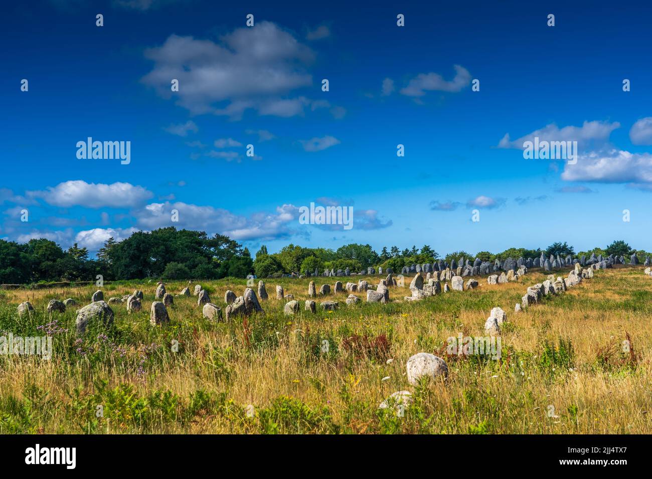 Menhir Alignment of Kermario (France) Stock Photo