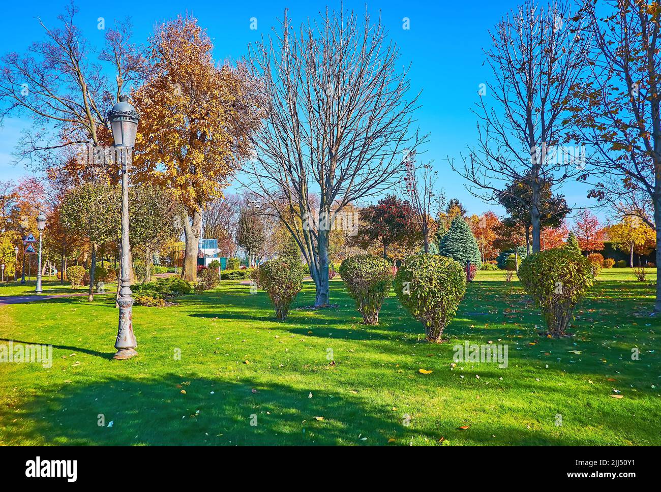 The picturesque autumn park with yellow trees, trimmed shrubs and green lawn, Mezhyhirya, Ukraine Stock Photo
