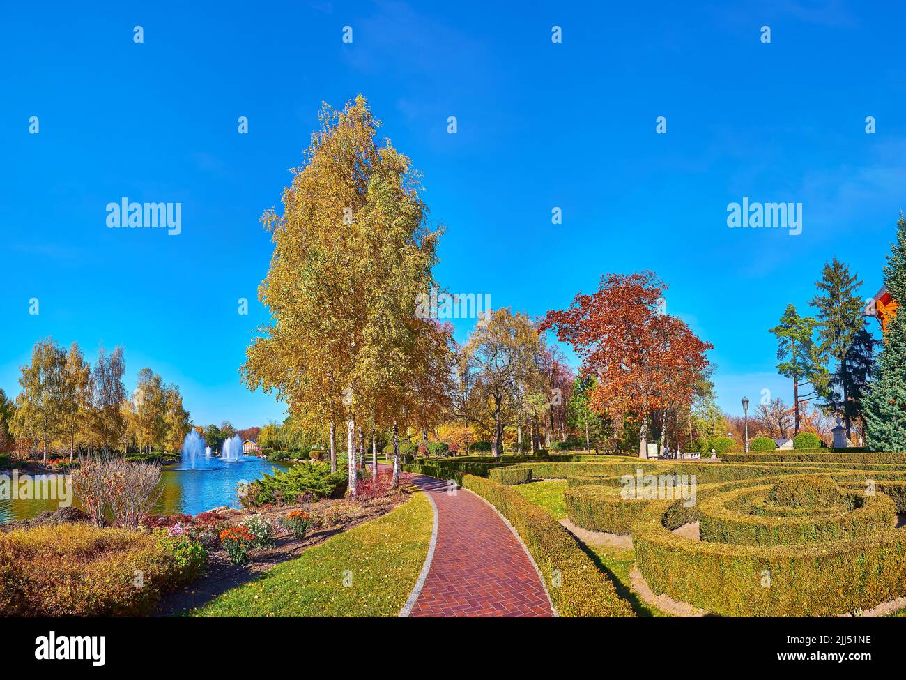 Panorama of autumn park, stretching along the lake with fountains and decorated with ornamental boxwood bushes, golden birches, red oaks, juniper and Stock Photo