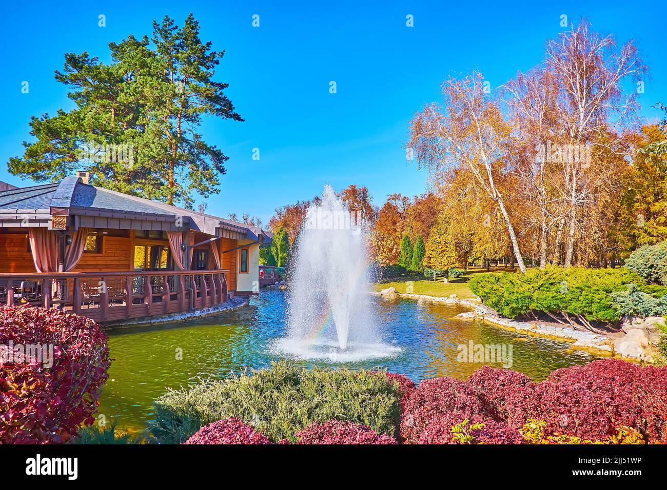 The picturesque autumn plants - red barberry bushes, green juniper, yellow birches and a fountain on the lake with bright rainbow in front of it, Mezh Stock Photo