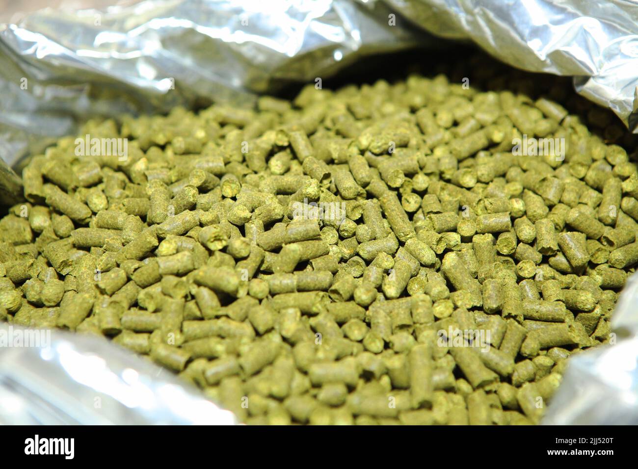 Granulated hops in the hands of a man. Substrate for the production of ...