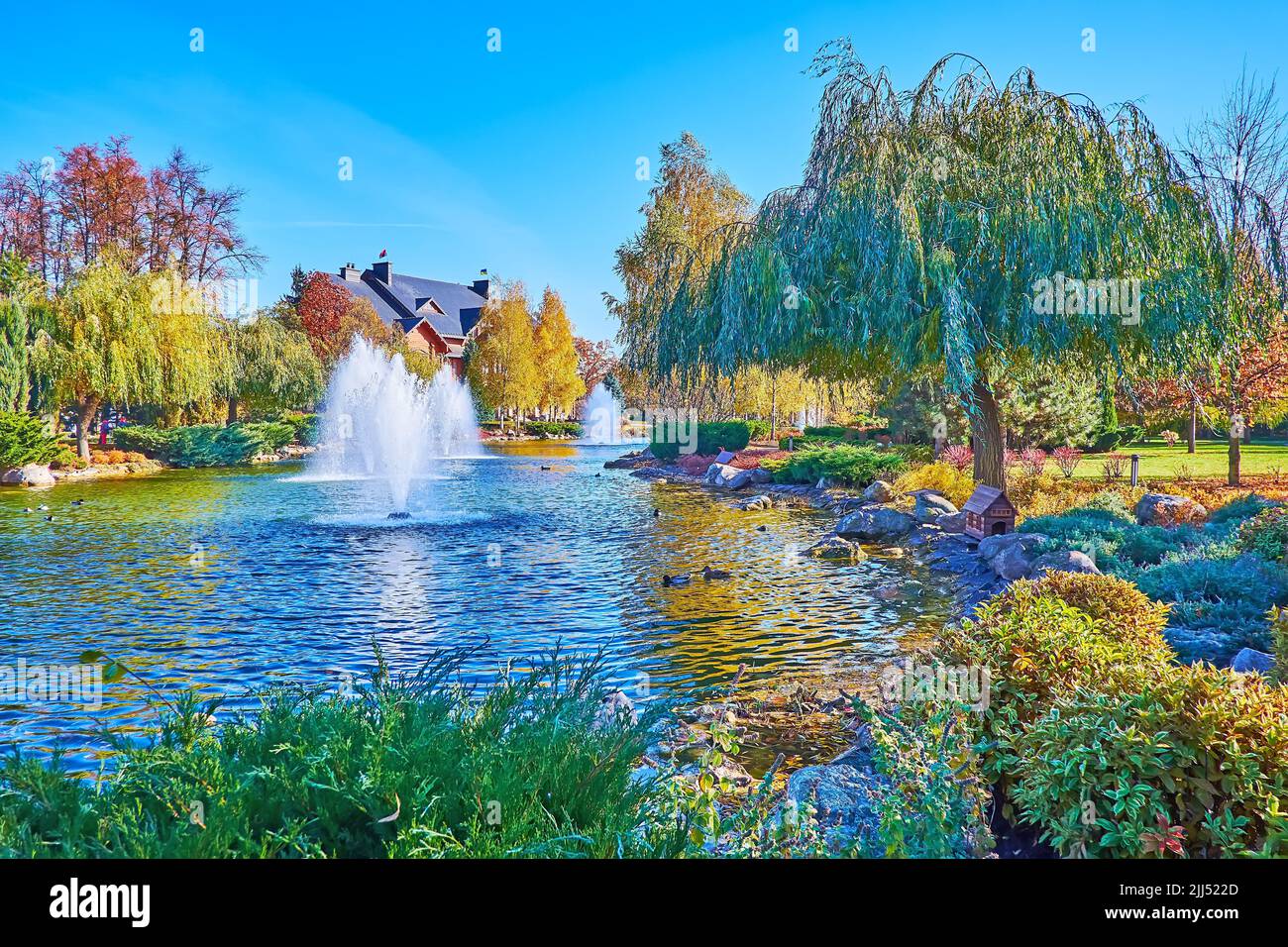 Idyllic autumn park with lush willows, yellow birches, red oaks, thickets of juniper and lake with fountains, Mezhyhirya, Ukraine Stock Photo