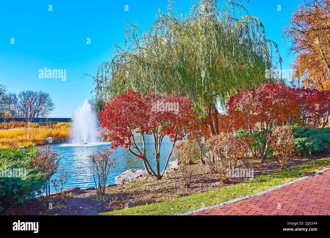 Relax in colored autumn park on the bank of the lake with foliage on the lawn, spread willows, red barberry shrubs, Mezhyhirya, Ukraine Stock Photo
