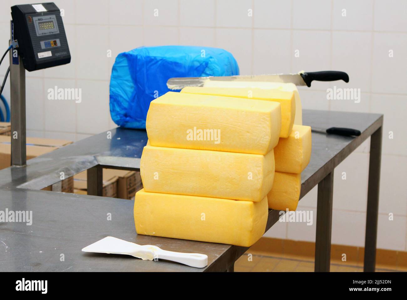 A lot of cheese for the production of processed cheese Stock Photo Alamy