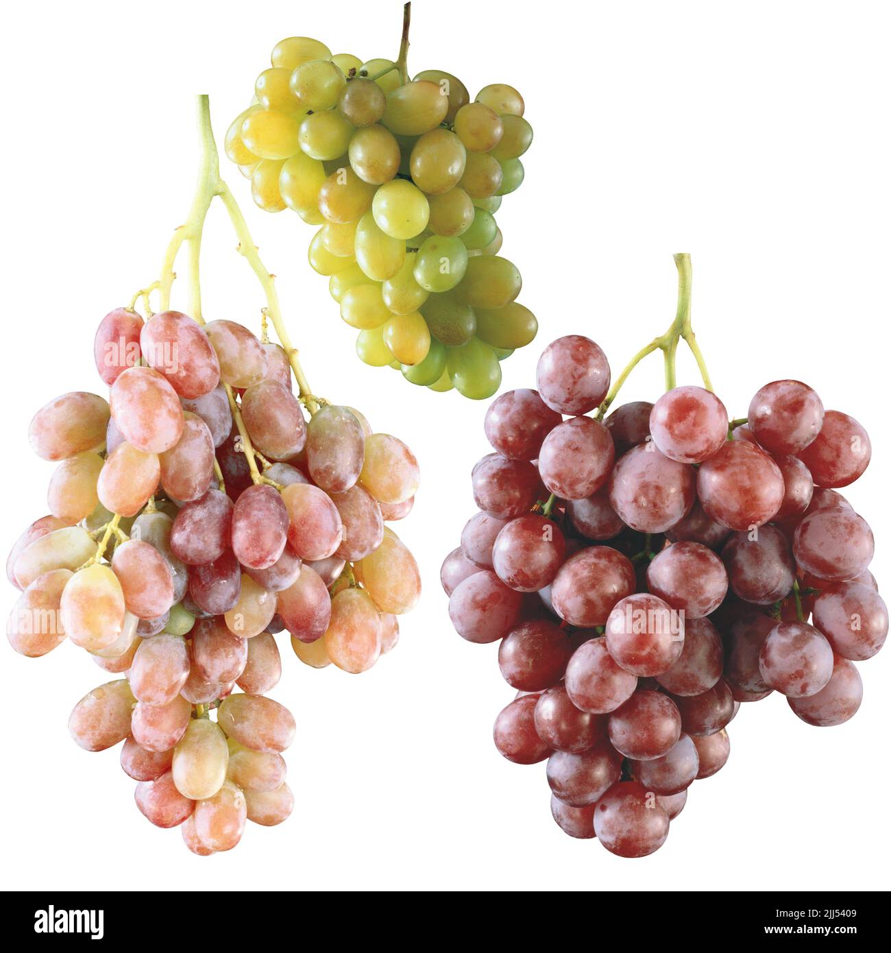 bunches of grapes, different varieties isolated on white Stock Photo