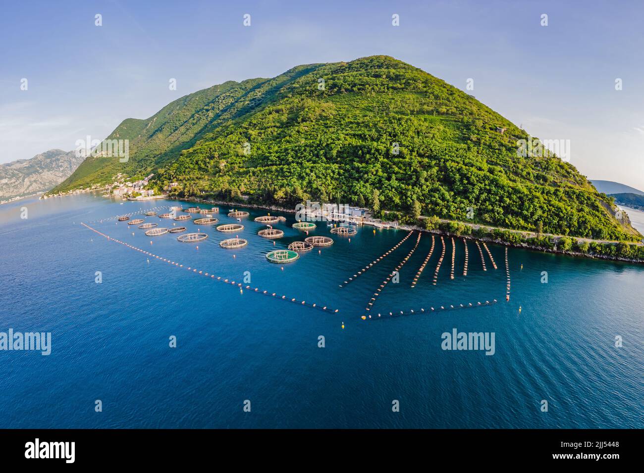 Oyster farm in the Mediterranean. Montenegro, Kotor Stock Photo Alamy