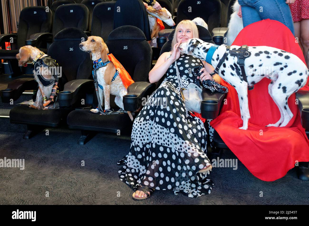 Cologne, Germany. 23rd July, 2022. Dogs sit in the auditorium before the  start of a screening of the film 